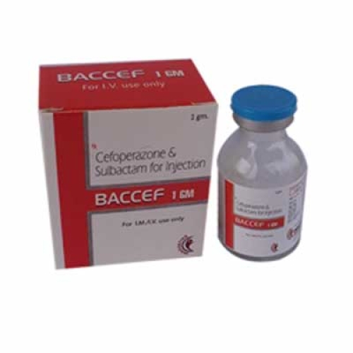 Baccef
