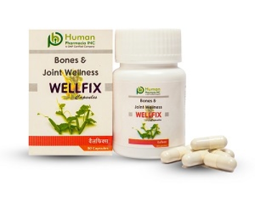 Wellfix
