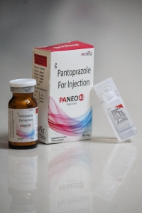 Paneo 40