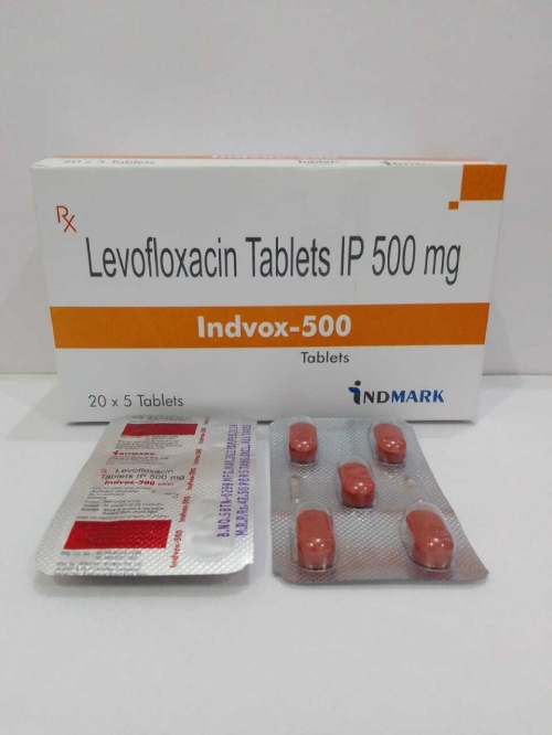 Indvox 500