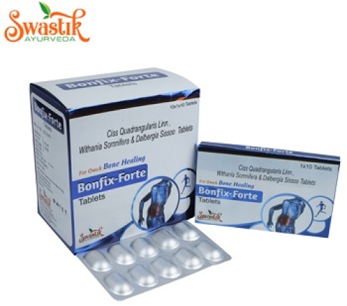Bonfix Forte