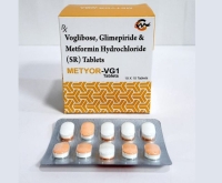 Metyor-VG1