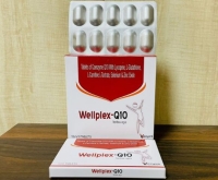 Wellplex Q10