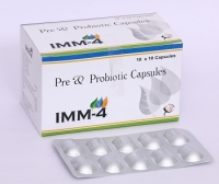 IMM 4