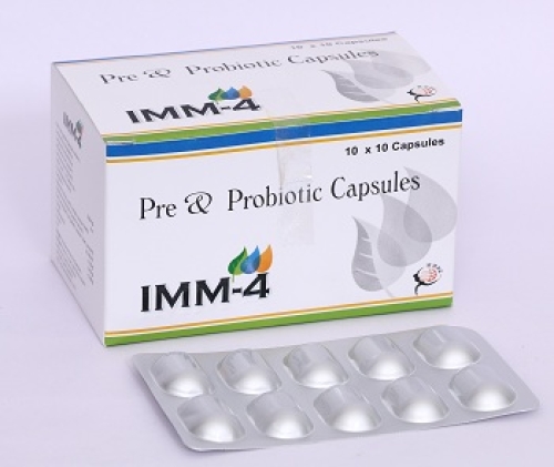 IMM 4
