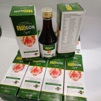 Stogon