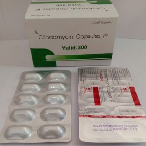 Yulid 300