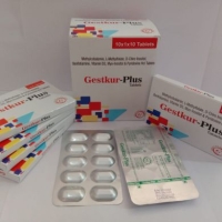 Gestkur Plus