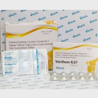 Voxbon K27