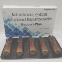 Mecoart Plus Injection