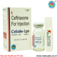 Cefcube 1gm Injection
