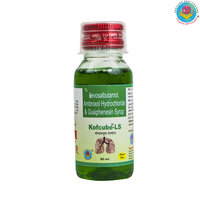 Kofcube LS Syrup