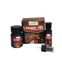 Lingo XL Combo Pack