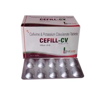 CEFILL CV