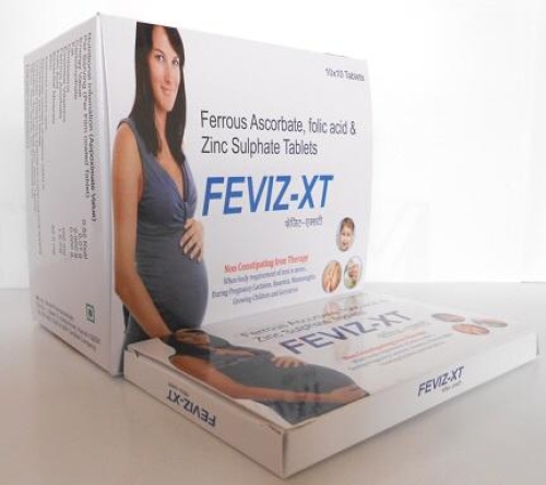 Feviz XT
