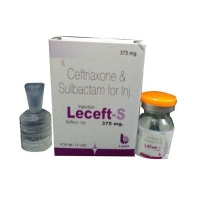 Leceft s