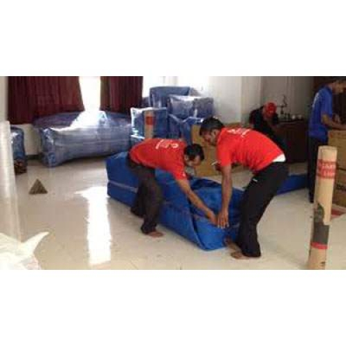 Domestic Service