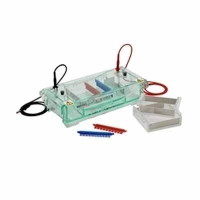 Electrophoresis Horizontal