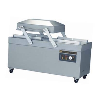 Double Chamber Vacuum Packing Machine