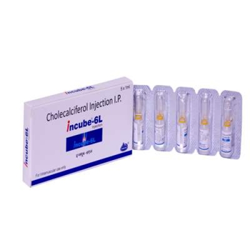 Incube 6L