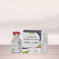Cefitek 1.5 GM