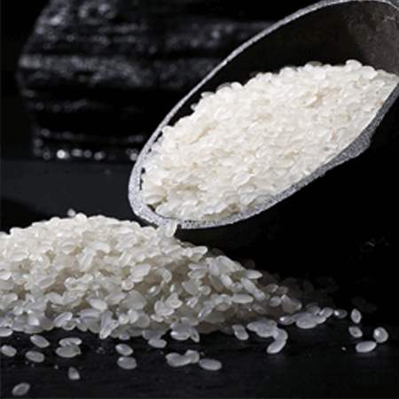 Di Basic Calcium Phosphate Anhydrous