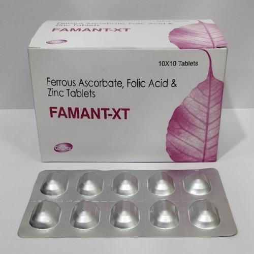 Famant XT