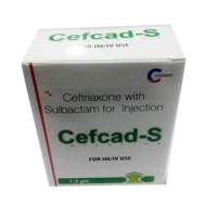 Cefcad S