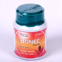 Bonec