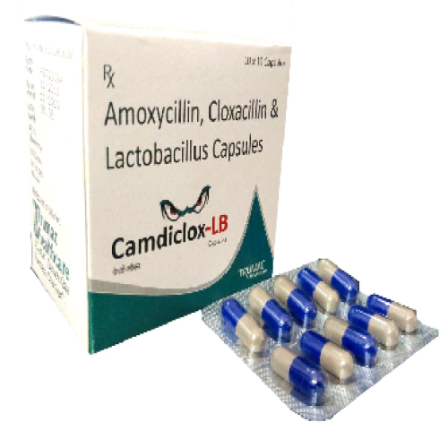 CAMDICLOX LB