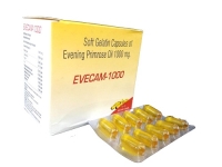 EVECAM 1000