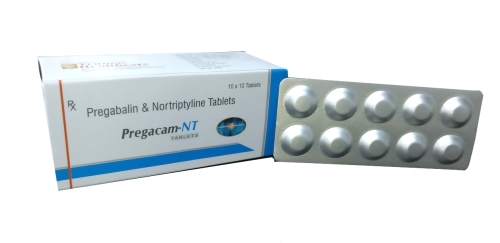 pregacam nt