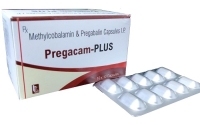 pregacam plus