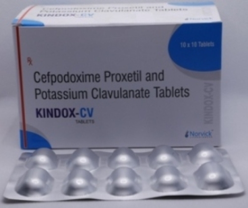 Kindox CV