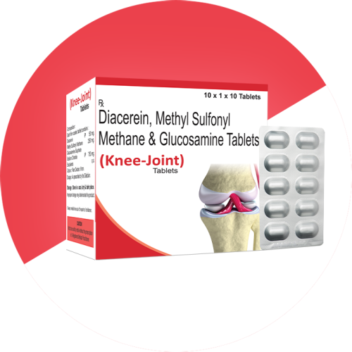 KNEE JOINT
