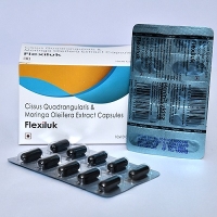 FLEXILUK