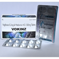 VOKINZ