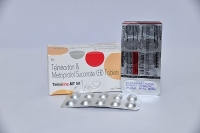 TELMIKINZ-MT