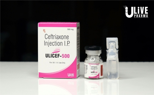 Ulicef 500